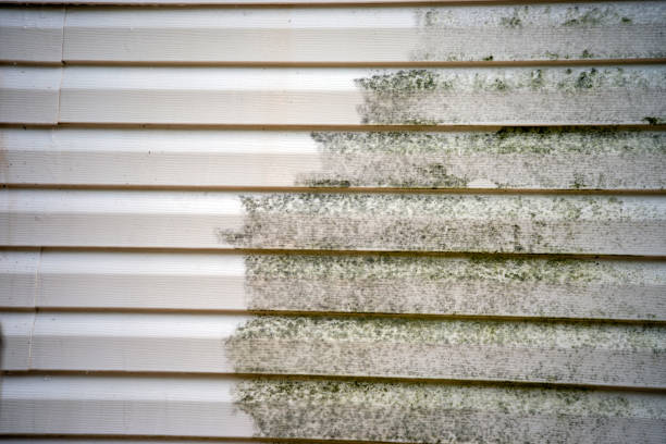 Professional Junk Removal in Cold Spring, MN